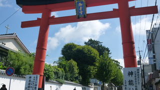 伏見の水は名水百選に選ばれています、美味しくいただけます