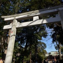 正面の鳥居