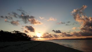 ねこがいっぱい。冬は夕日スポットにも。