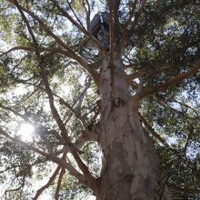 結構、怖いんだけどね・・・・！