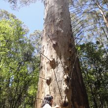 途中なら誰でもいけるぞ！