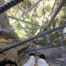 下を見ると・・・