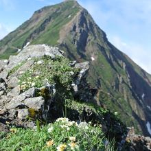赤岳