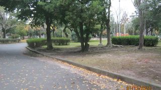 公園内には福岡県立美術館が立っています。