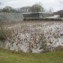 堀と石垣の姿が素晴らしいです。