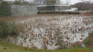 福岡城址の堀は今は北の一部が残っています。