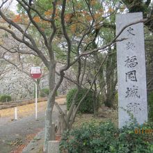 三の丸あたりから本丸に向かう様子です。