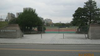 福岡国際マラソンのスタートとゴールの場所です。