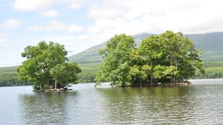 国定公園内を、のんびり大沼湖上遊覧