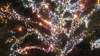 夜は結構薄暗い