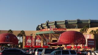 MLB見てきました