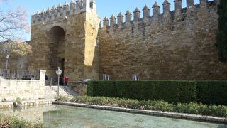 とてもフォトジェニック