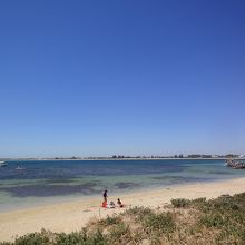 ペンギン島ツアー (ロッキンハム ワイルドエンカウンターズ)