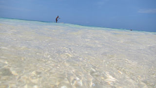 さすが全米No.1のビーチ