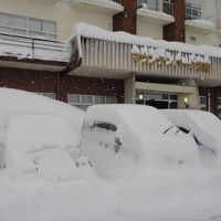 一晩でこんなことに。