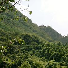 山の上に奥の院捨身ヶ嶽禅定が見えます
