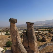 やっぱりエリンギ？