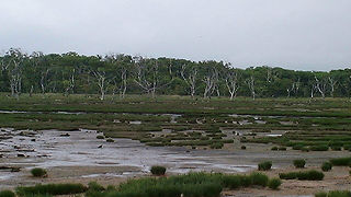 北海道最東端の不思議な風景