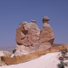 絶妙なネーミング！