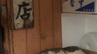 昔ながらの市場