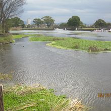 きれいな水がたまっています。