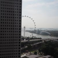 シンガポールフライヤーも見えます