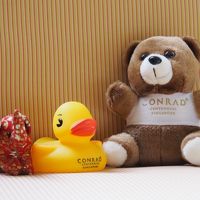 コンラッドベアとアヒルさん