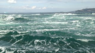 船に乗って間近で見ました