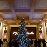 年末ということもあり正面玄関前には巨大クリスマスツリーが飾っ