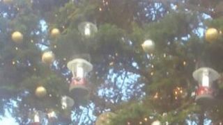 ランタンがオーナメントのクリスマスツリー★