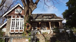 背景の青空が美しい