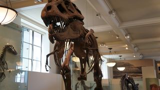 子供も楽しめる