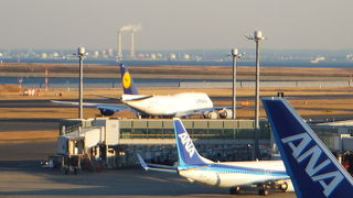 青色に染まる展望デッキ