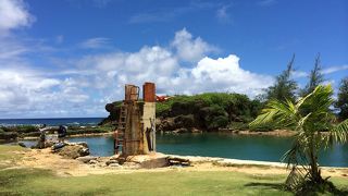 見て楽しむだけで。