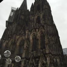 カメラにうまく収まらないほど大きいです。