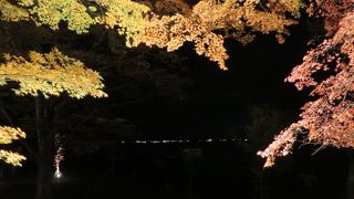 知名度が低めですが、紅葉まつりは必見