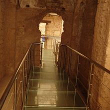 館内の通路。ガラスの下の様子も見学できます。