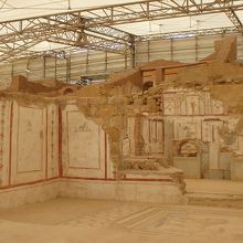 壁には写実的な鳥が描かれている。床はライオン。