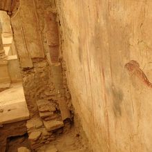 壁面のサカナの絵がリアルで素晴らしい