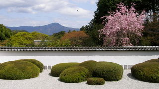 正伝寺のいいところ！