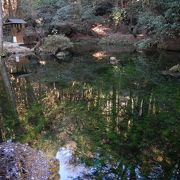 2015年1月　湧き出ている池は水草が生い茂っているので、湧き出ている様子はわかりません　無料で汲めます