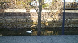 街並みを引き立たせる川