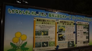 ビオトープもあります