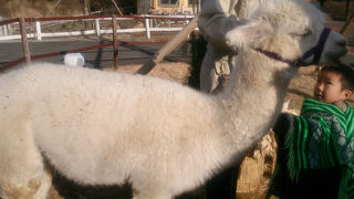 平日はものすごく閑散