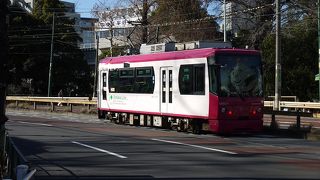綺麗になった車両