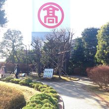 ジョイナスの屋上からも見える看板