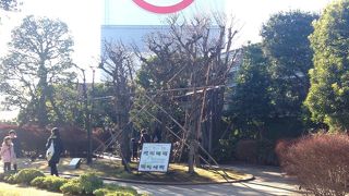 大きな看板が目印