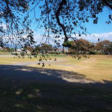 広いので大きく遊べそうです