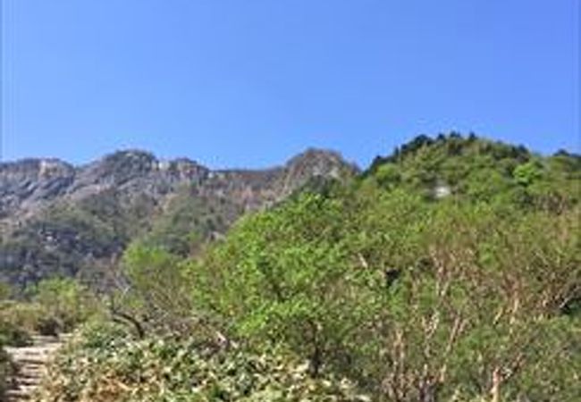 この公園は、自然が豊かで、とくに、石鎚山を一望できるそんな場所でも有りますので、おすすめのスポットです。
