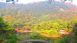 朝の散歩に最適でした。